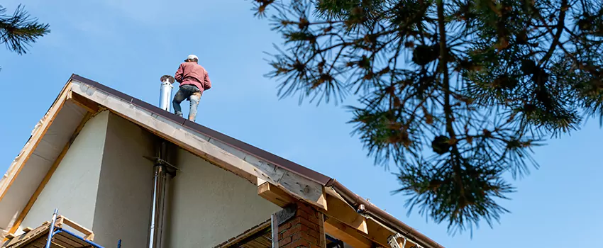 Birds Removal Contractors from Chimney in Jasmine Estates, FL