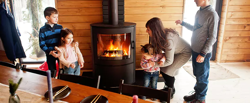Jøtul Gas Fireplace Inspection Service in Jasmine Estates, Florida