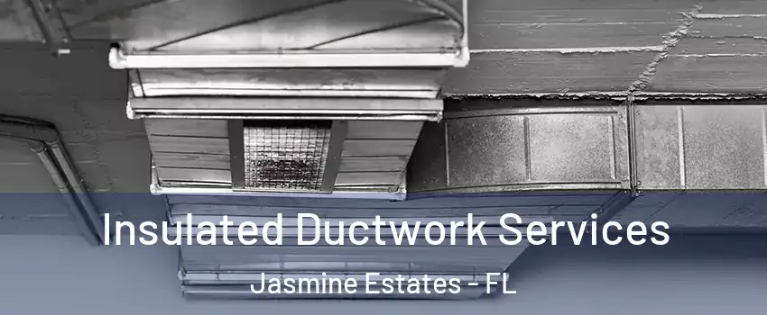  Insulated Ductwork Services Jasmine Estates - FL