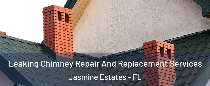  Leaking Chimney Repair And Replacement Services Jasmine Estates - FL
