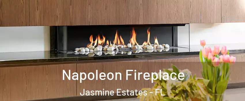  Napoleon Fireplace Jasmine Estates - FL