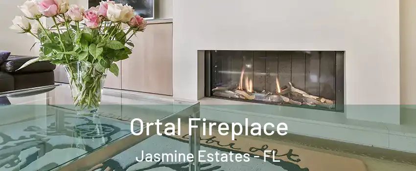  Ortal Fireplace Jasmine Estates - FL