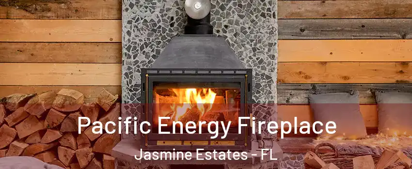  Pacific Energy Fireplace Jasmine Estates - FL