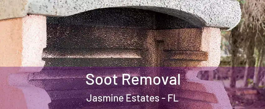  Soot Removal Jasmine Estates - FL