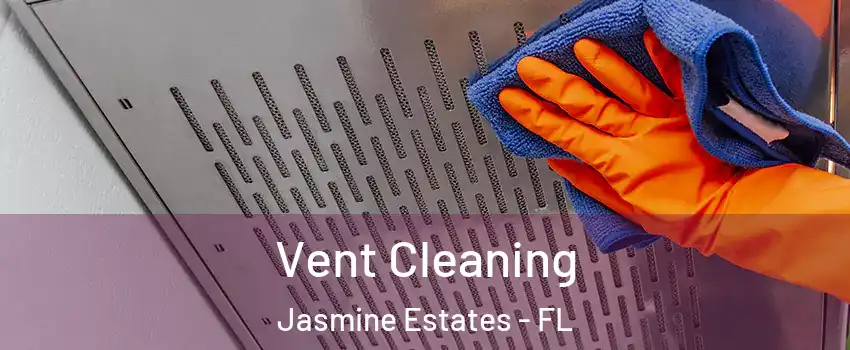  Vent Cleaning Jasmine Estates - FL