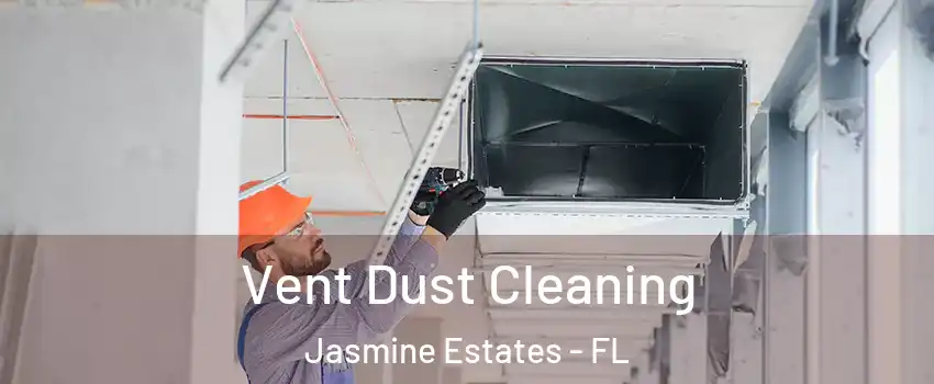  Vent Dust Cleaning Jasmine Estates - FL