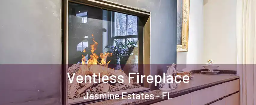  Ventless Fireplace Jasmine Estates - FL