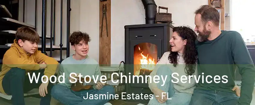  Wood Stove Chimney Services Jasmine Estates - FL