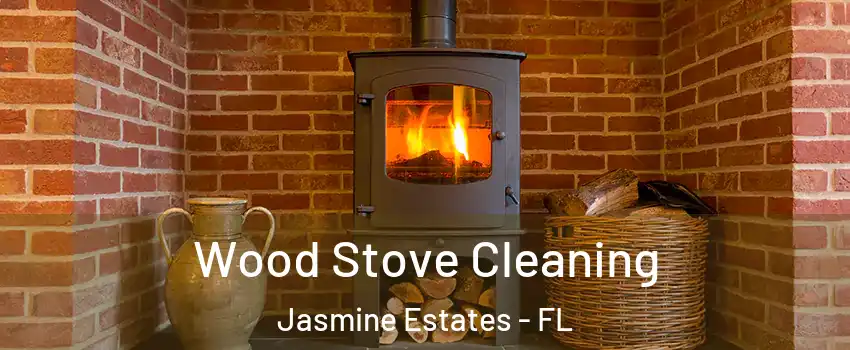  Wood Stove Cleaning Jasmine Estates - FL