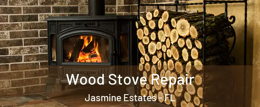  Wood Stove Repair Jasmine Estates - FL
